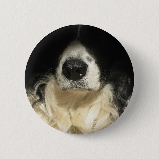 Dog's nose close up pinback button (Front)