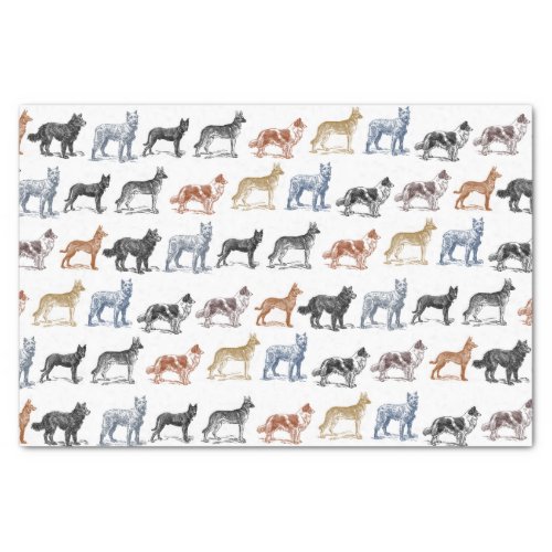 Dogs Of All Kinds Tissue Paper