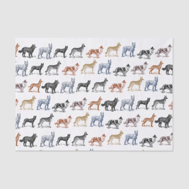 Dogs Of All Kinds Tissue Paper (Front)