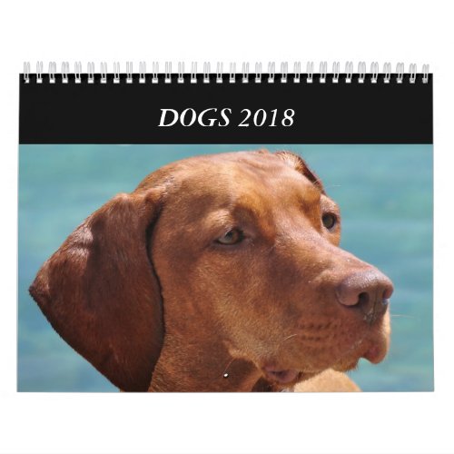 Dogs of All Seasons 2018 Calendar