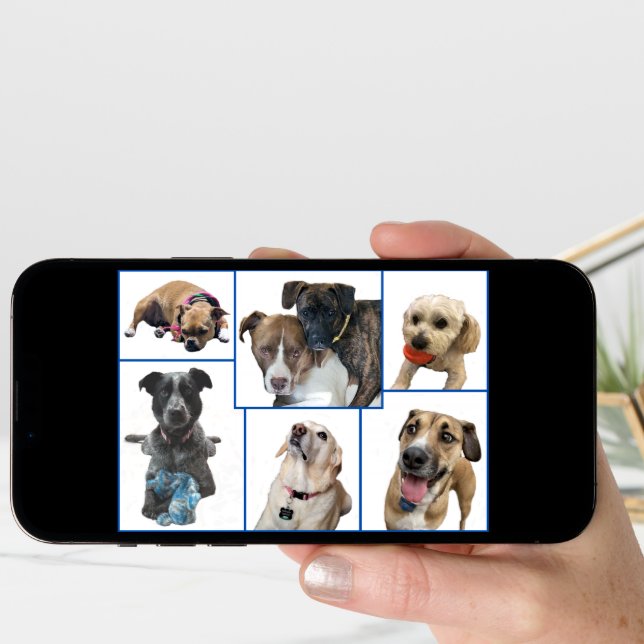 Dogs of Johnston County Card (Front Digital)