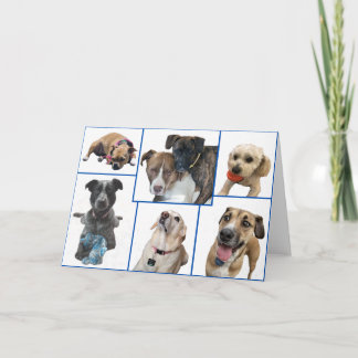 Dogs of Johnston County Card