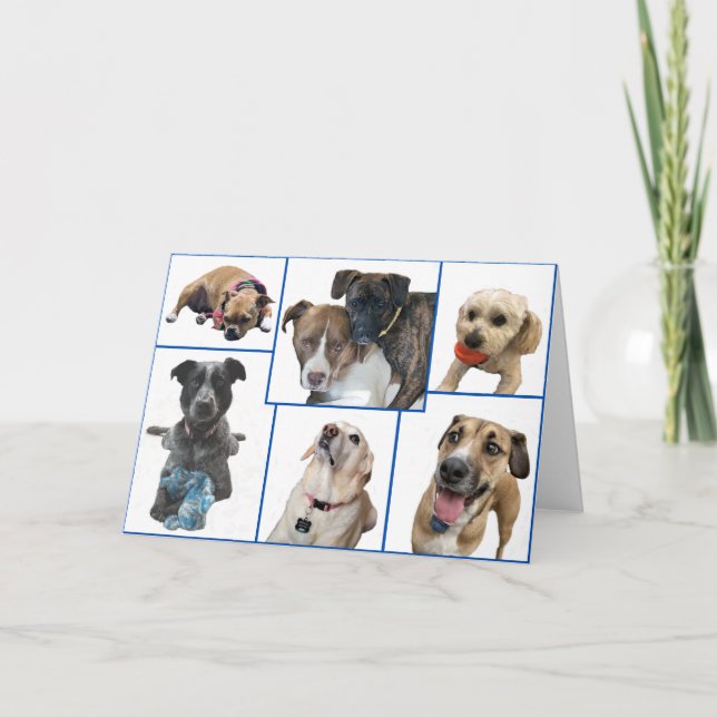 Dogs of Johnston County Card (Front)