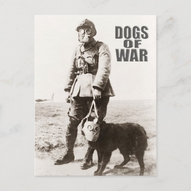 Dogs of War wearing gas mask Postcard (Front)