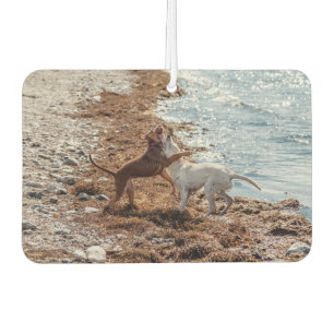 Dogs on beach air freshener