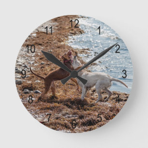 Dogs on beach round clock