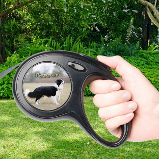Dog's Outdoor Life Photo Retractable Pet Leash