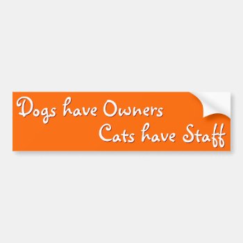 Dogs Owners Cats Staff Funny Humor Bumper Sticker by iSmiledYou at Zazzle