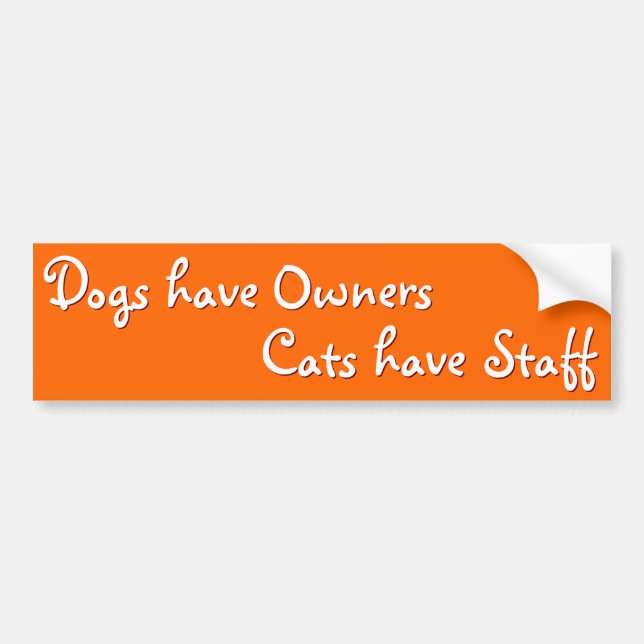 Dogs Owners Cats Staff Funny Humor Bumper Sticker (Front)