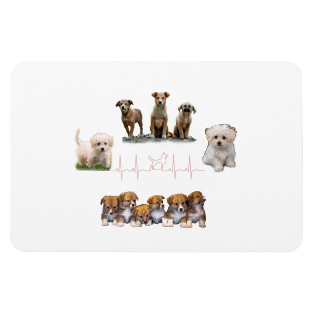 Dogs package, Funny Dogs package Magnet (Horizontal)