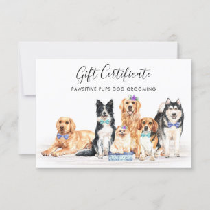 Dogs Pet Care Dog Trainer Groomer Gift Certificate