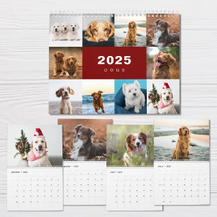 Dogs Photo Collage Modern 2025 Calendar
