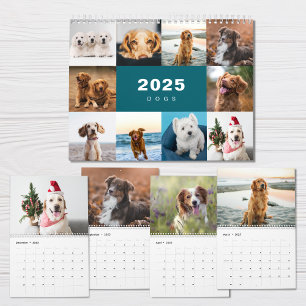 Dogs Photo Collage Modern 2025 Calendar