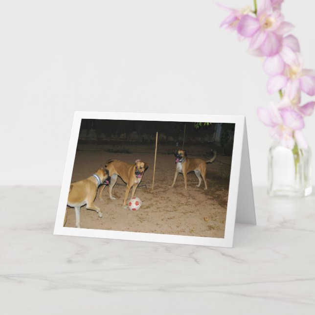 Dogs Playing Football at Night Card (Orchid)