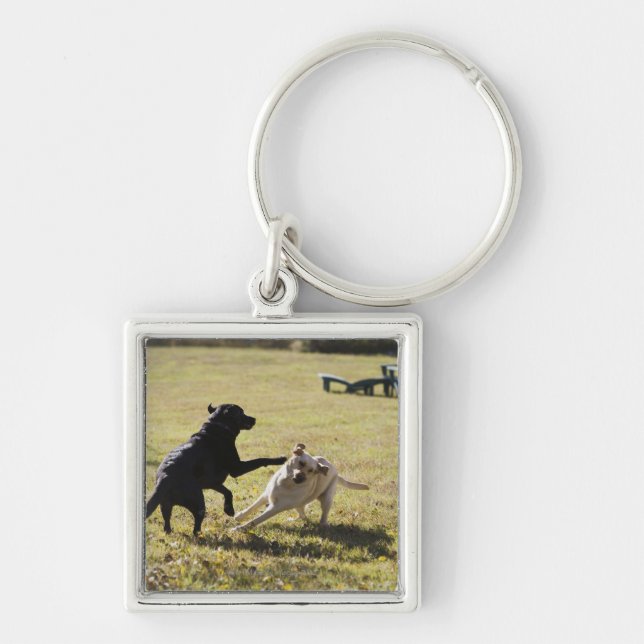 Dogs playing keychain (Front)