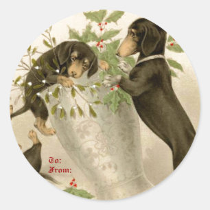 Dogs playing with Christmas mistletoe & holy berry Classic Round Sticker