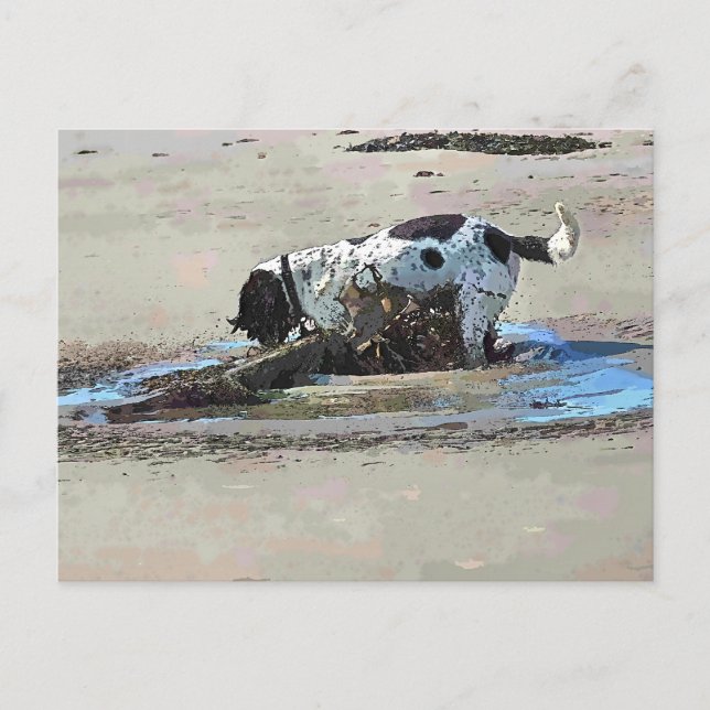 DOGS POSTCARD (Front)