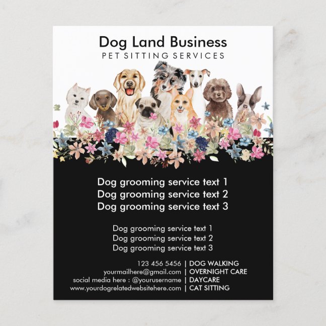 Dogs Pug frenchie Collie Westie Retriever Poodle Flyer