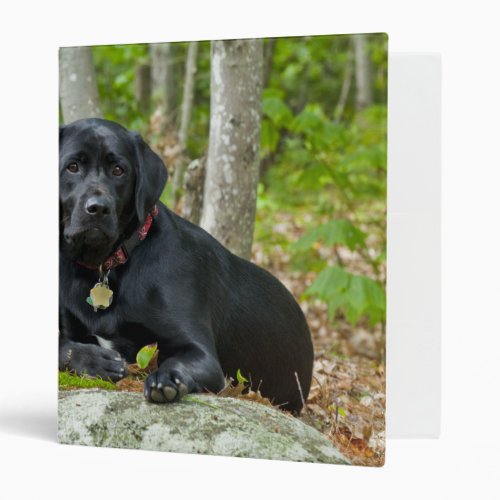 Dogs Puppies Black Lab Chocolate Labrador Retrieve Binder