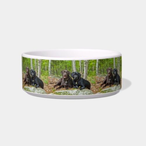 Dogs Puppies Black Lab Chocolate Labrador Retrieve Bowl