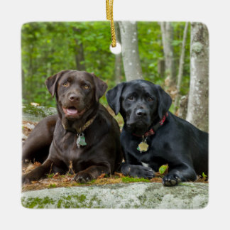 Dogs Puppies Black Lab Chocolate Labrador Retrieve Ceramic Ornament
