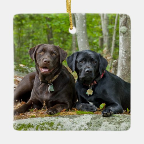 Dogs Puppies Black Lab Chocolate Labrador Retrieve Ceramic Ornament