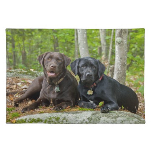 Dogs Puppies Black Lab Chocolate Labrador Retrieve Cloth Placemat