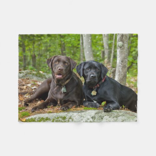 Dogs Puppies Black Lab Chocolate Labrador Retrieve Fleece Blanket