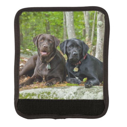 Dogs Puppies Black Lab Chocolate Labrador Retrieve Luggage Handle Wrap