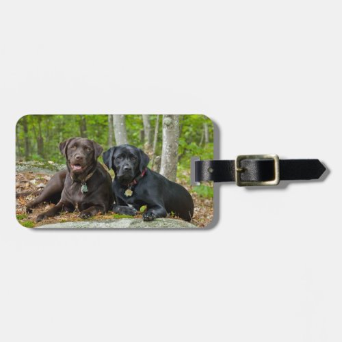 Dogs Puppies Black Lab Chocolate Labrador Retrieve Luggage Tag