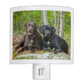 Dogs Puppies Black Lab Chocolate Labrador Retrieve Night Light (Front)