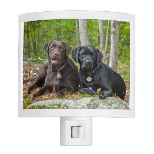 Dogs Puppies Black Lab Chocolate Labrador Retrieve Night Light (Front)