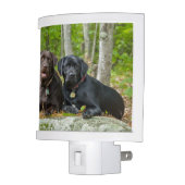 Dogs Puppies Black Lab Chocolate Labrador Retrieve Night Light (Left)