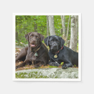 Dogs Puppies Black Lab Chocolate Labrador Retrieve Paper Napkins