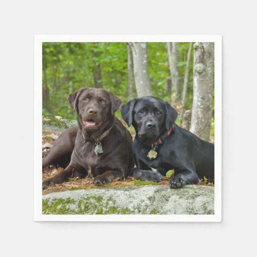 Dogs Puppies Black Lab Chocolate Labrador Retrieve Paper Napkins