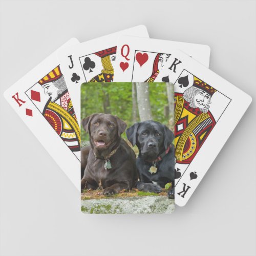 Dogs Puppies Black Lab Chocolate Labrador Retrieve Playing Cards