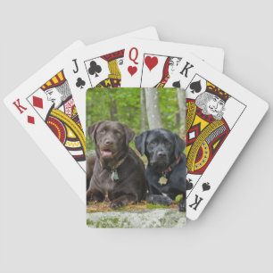 Dogs Puppies Black Lab Chocolate Labrador Retrieve Poker Cards