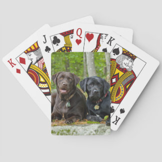 Dogs Puppies Black Lab Chocolate Labrador Retrieve Poker Cards