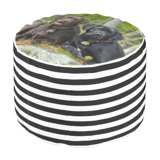 Dogs Puppies Black Lab Chocolate Labrador Retrieve Pouf