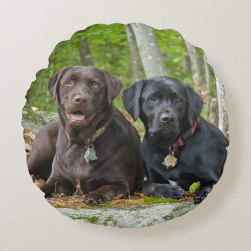 Dogs Puppies Black Lab Chocolate Labrador Retrieve Round Pillow