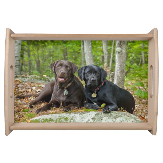 Dogs Puppies Black Lab Chocolate Labrador Retrieve Serving Tray (Front)
