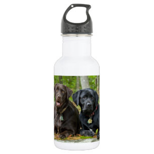 Dogs Puppies Black Lab Chocolate Labrador Retrieve Stainless Steel Water Bottle