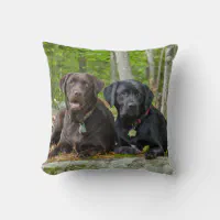 Black Lab Pillow, Dog Cushion, Labrador Retriever, Black Lab Gifts, Dog  Lover Gifts, Dog Throw Pillow 