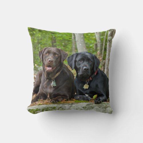 Dogs Puppies Black Lab Chocolate Labrador Retrieve Throw Pillow