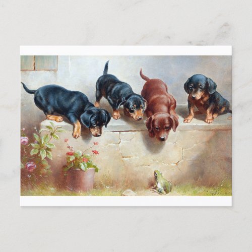 Dogs Puppies Frog Vintage Illustration Postcard