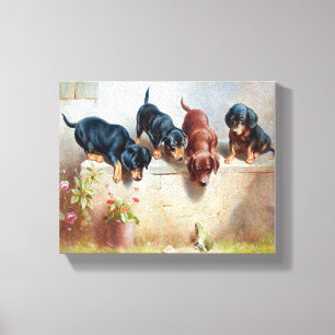 Dogs Puppies Vintage Old Dogs Canvas Print