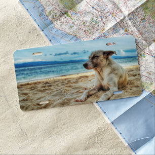 Dog's Relaxing Day at the Beach, Ocean Sand & Sun License Plate