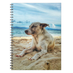Dog's Relaxing Day at the Beach, Ocean Sand & Sun Notebook
