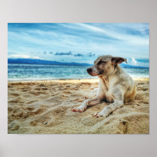 Dog's Relaxing Day at the Beach, Ocean Sand & Sun Poster