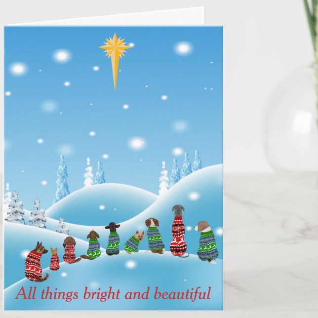 Dogs Religious Star All Things Animal Holiday Card (Creator Uploaded)